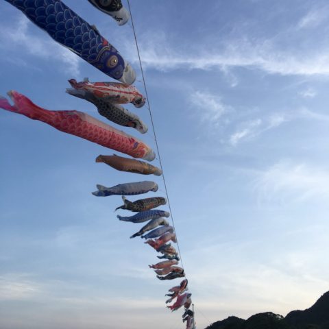 海へ山へ。