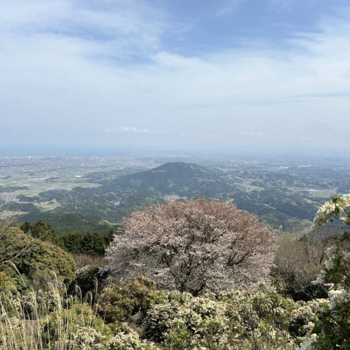 今年も行きますよ。春のえんそく。