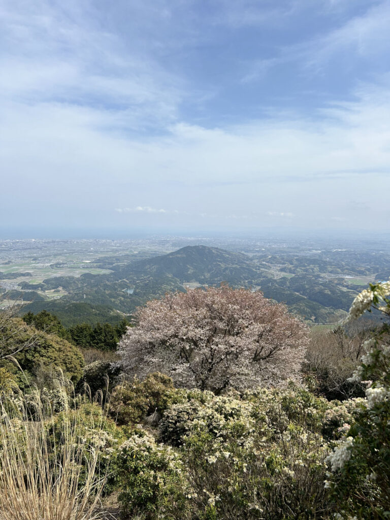 春のえんそく。バス見学会のお誘い。